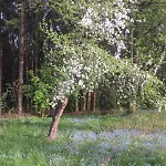 Dom wakacyjny Romantisches Im Dreilaendereck D-a-cz
